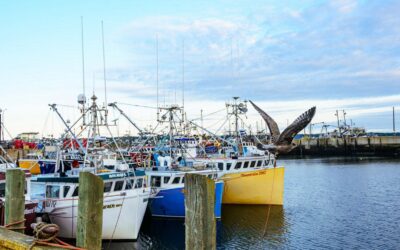 Discover Acadian History, Culture and Food in Pubnico, Nova Scotia